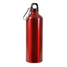 25 oz Aluminum Alpine Bottle LWMG970